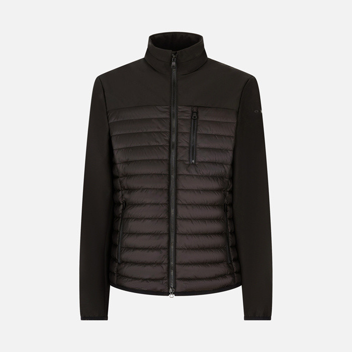 Quilted jacket SAPIENZA MAN Black/Black | GEOX