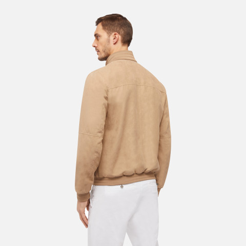 bomber jacket BLAINEY MAN Nougat - image number 5 | GEOX