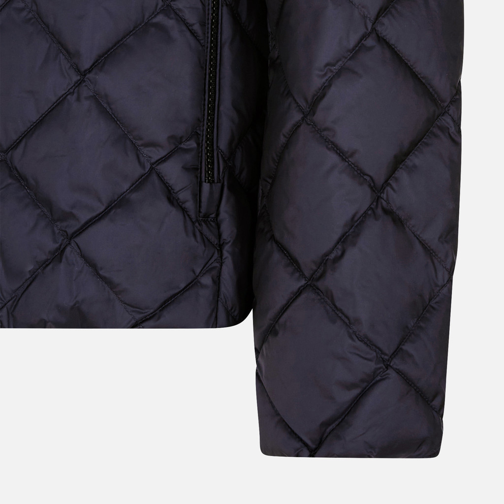 short down jacket ASCANIO MAN Sky captain - image number 7 | GEOX