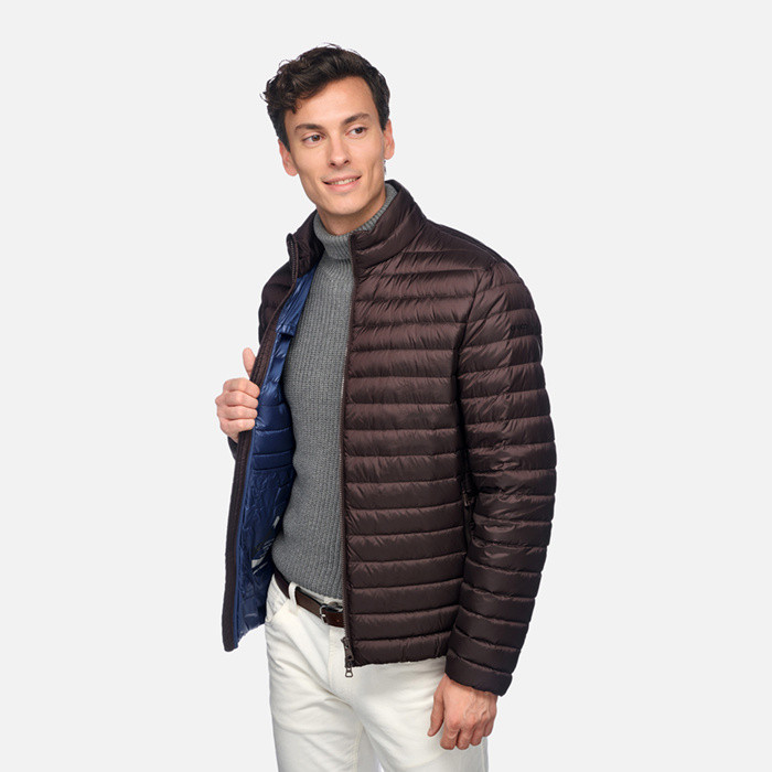 Short down jacket WARRENS MAN Chocolate plum | GEOX