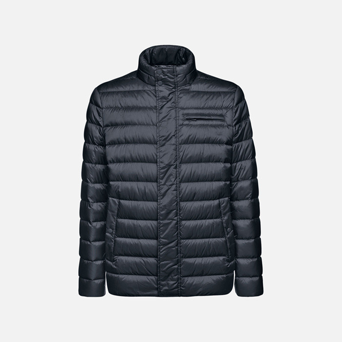 Short down jacket WARRENS MAN Sky captain | GEOX