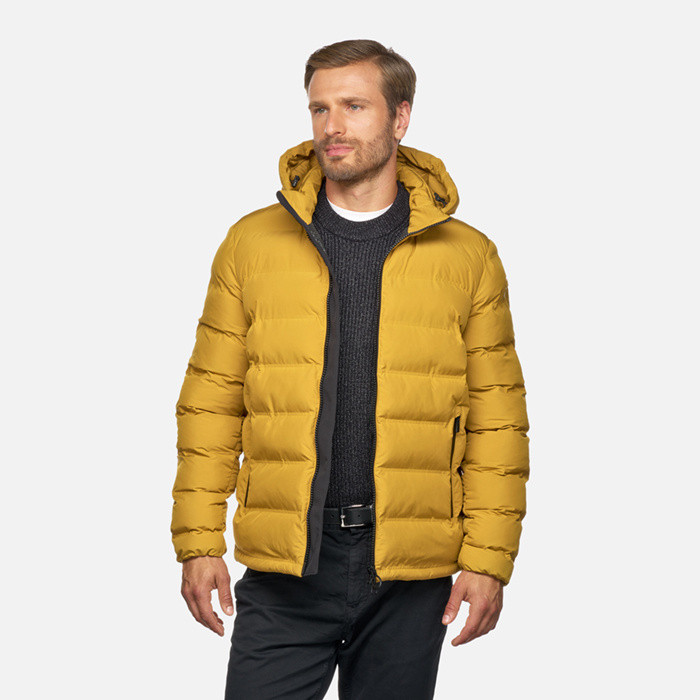 Parka court SPHERICA HOMME Jaune moutarde | GEOX