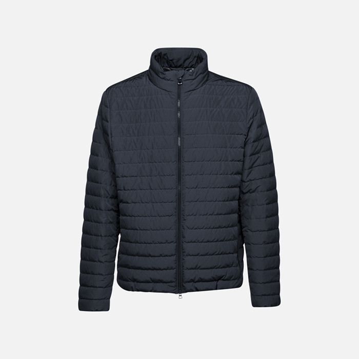 Short down jacket WARRENS MAN Sky captain | GEOX