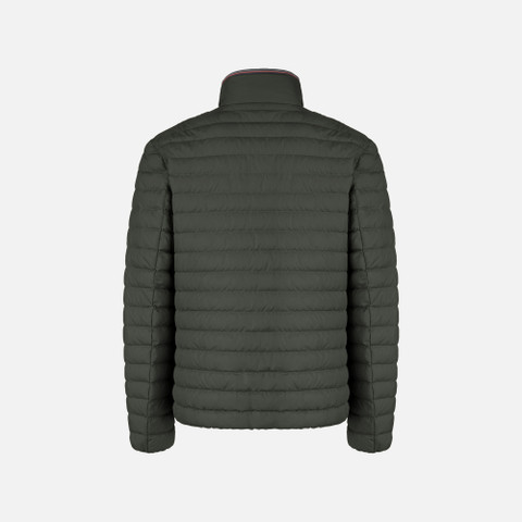Short down jacket WARRENS MAN Light scarab - image number 2 | GEOX