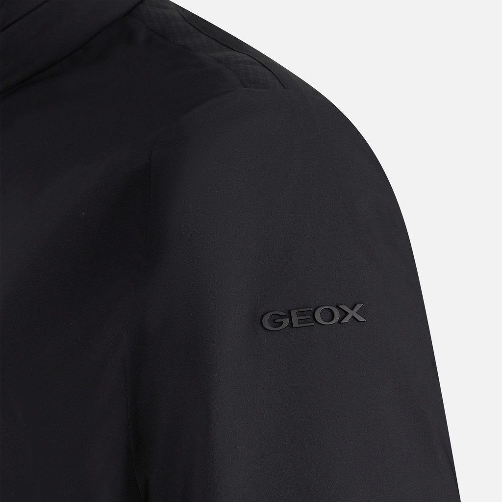 Short down jacket AURELIO MAN Black - image number 8 | GEOX