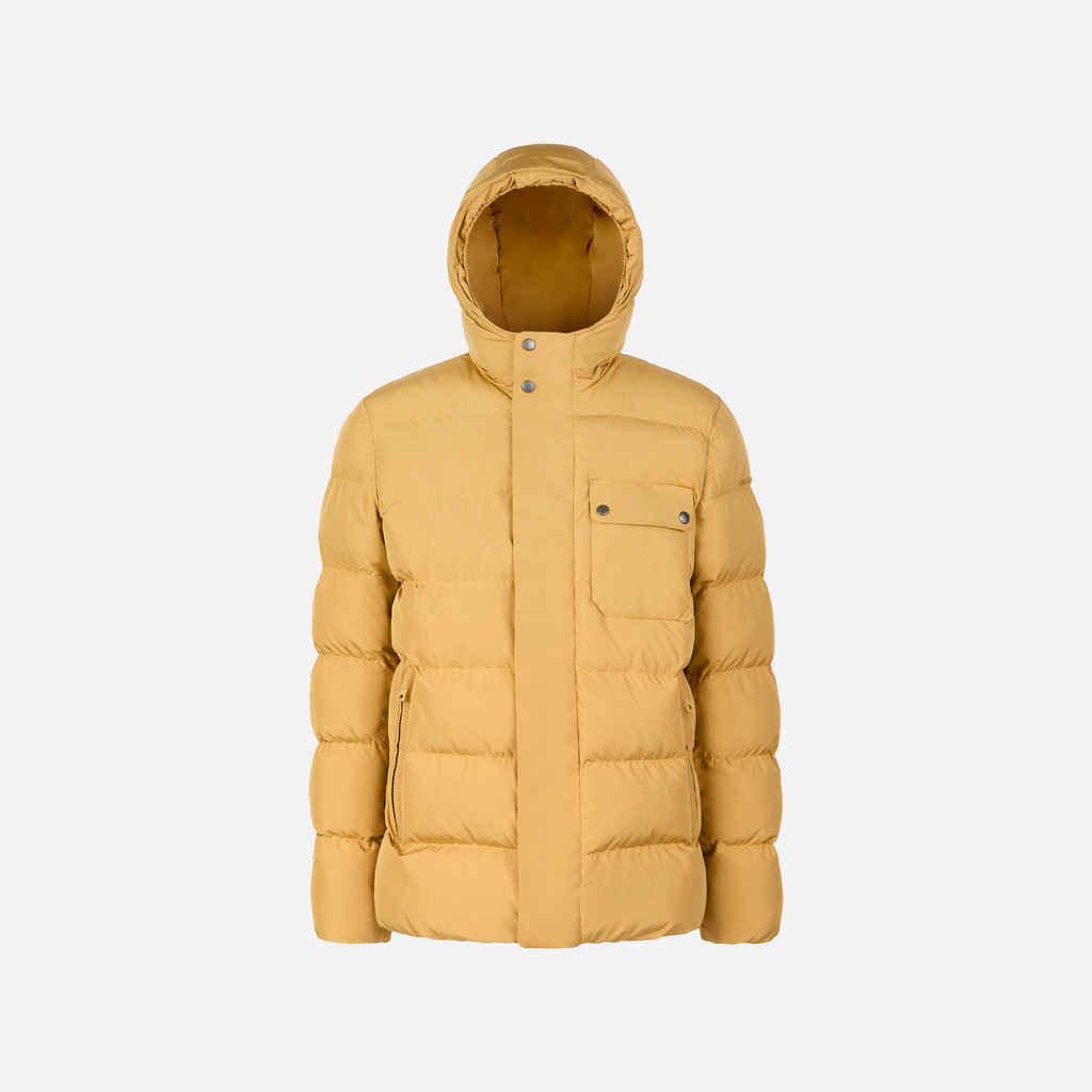 Quilted parka PIEVE MAN Honey mustard - image number 0 | GEOX