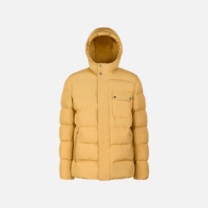 Quilted parka PIEVE MAN Honey mustard | GEOX