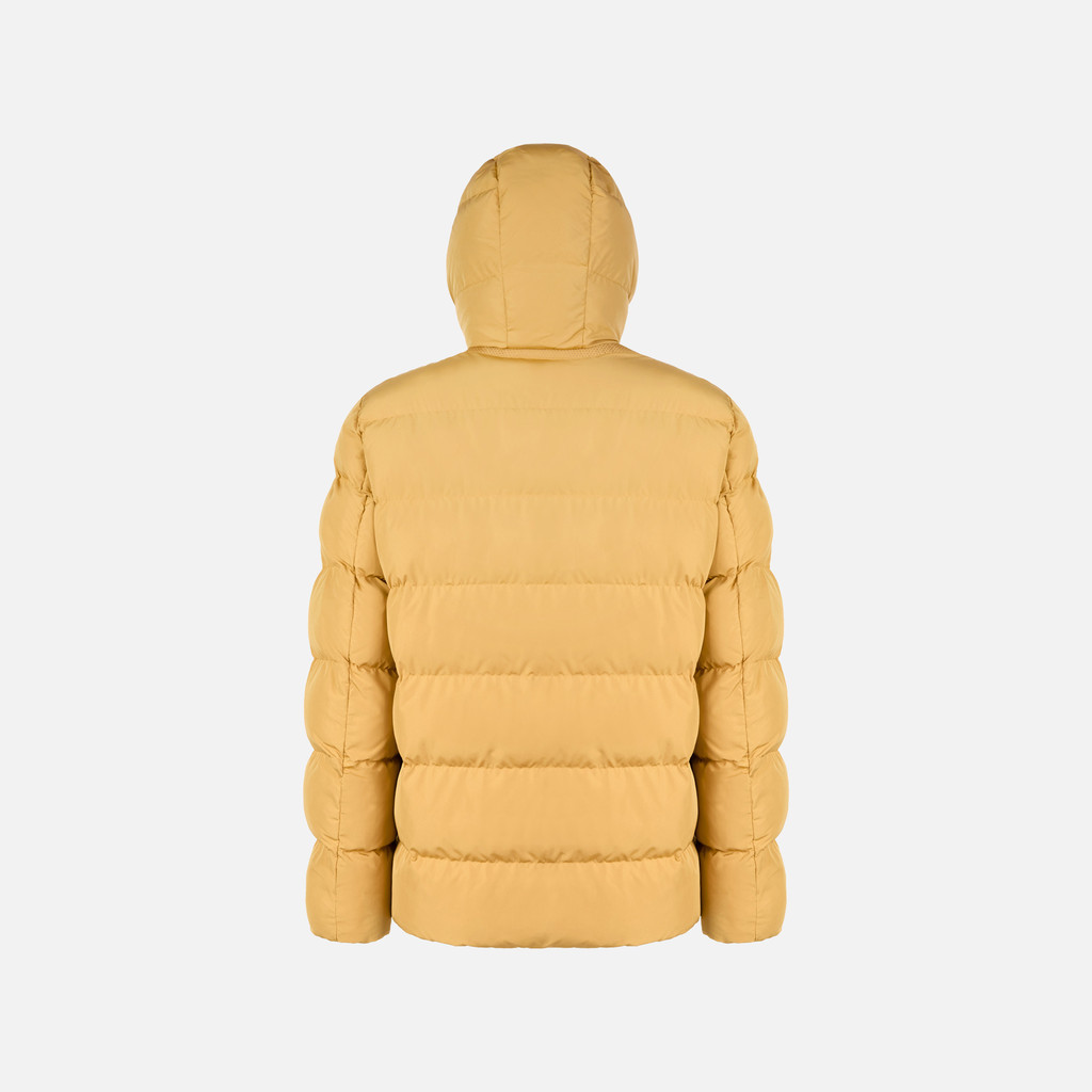 Quilted parka PIEVE MAN Honey mustard - image number 4 | GEOX