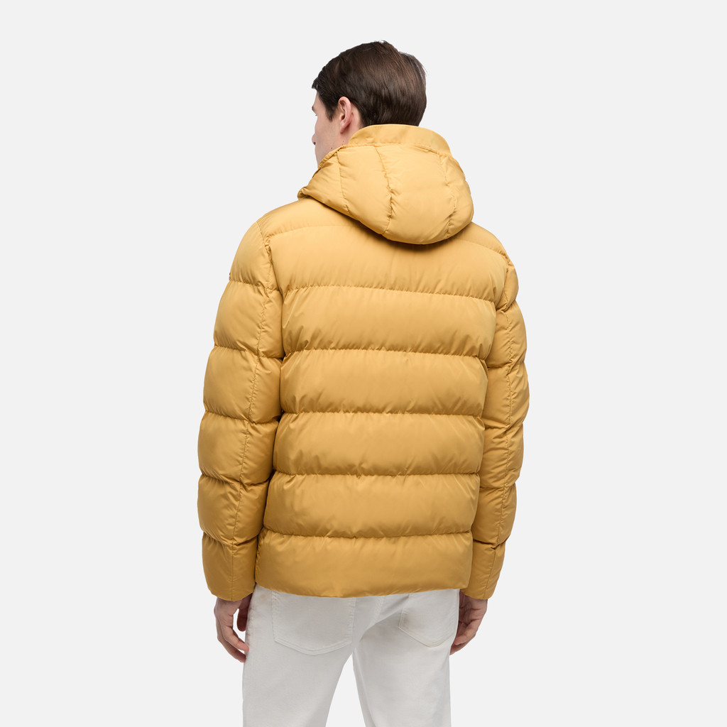 Quilted parka PIEVE MAN Honey mustard - image number 5 | GEOX