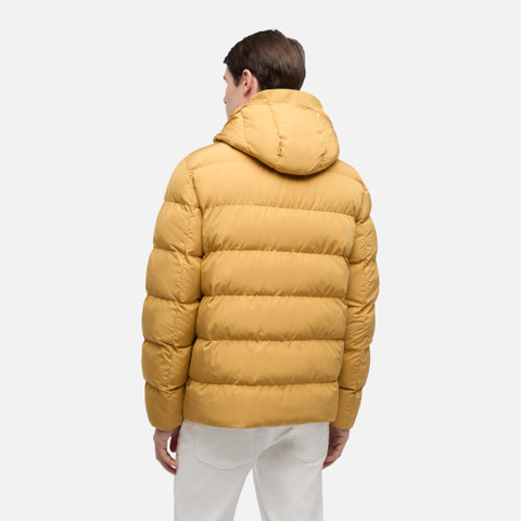 Quilted parka PIEVE MAN Honey mustard - image number 5 | GEOX
