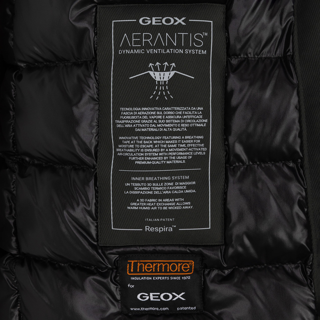 Synthetic down jacket AERANTIS MAN Light scarab - image number 8 | GEOX