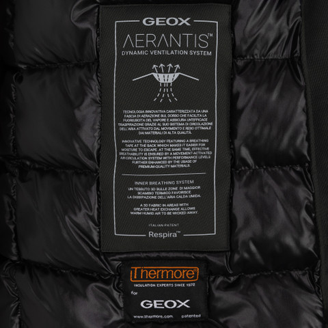 Synthetic down jacket AERANTIS MAN Light scarab - image number 8 | GEOX