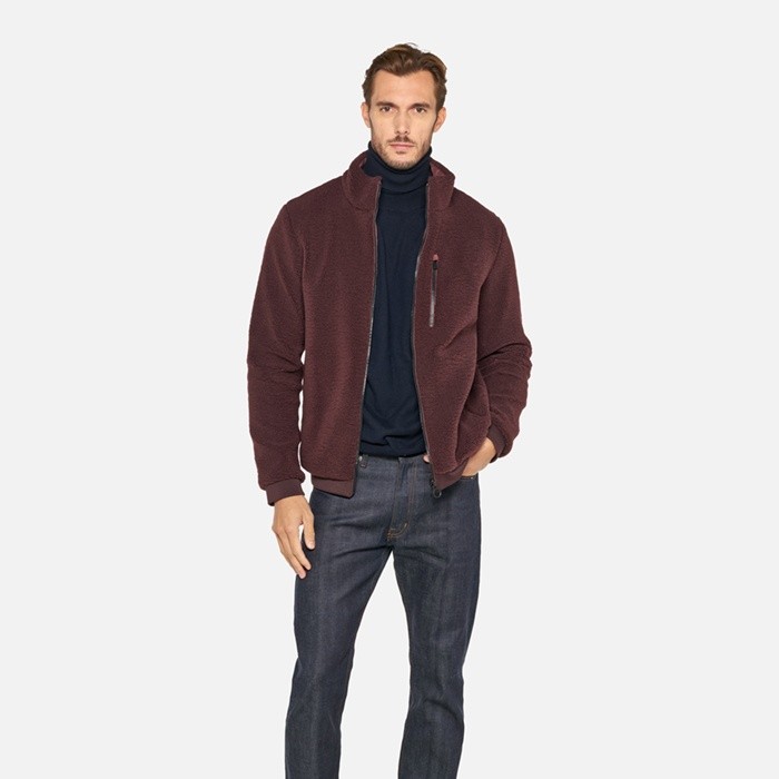 Sweatshirt SWEATER MAN Vineyard wine/Vineyard wine | GEOX