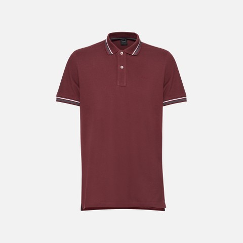 Polo shirt POLO MAN Cordovan - image number 3 | GEOX