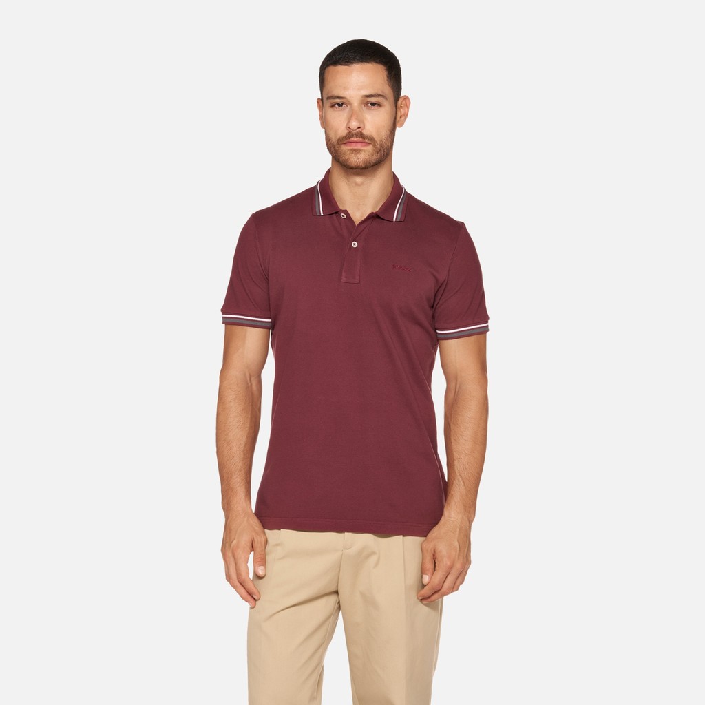 Polo shirt POLO MAN Cordovan - image number 1 | GEOX