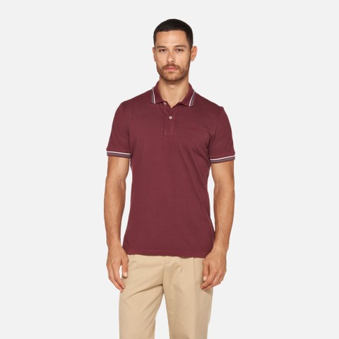 Polo shirt POLO MAN Cordovan - image number 1 | GEOX