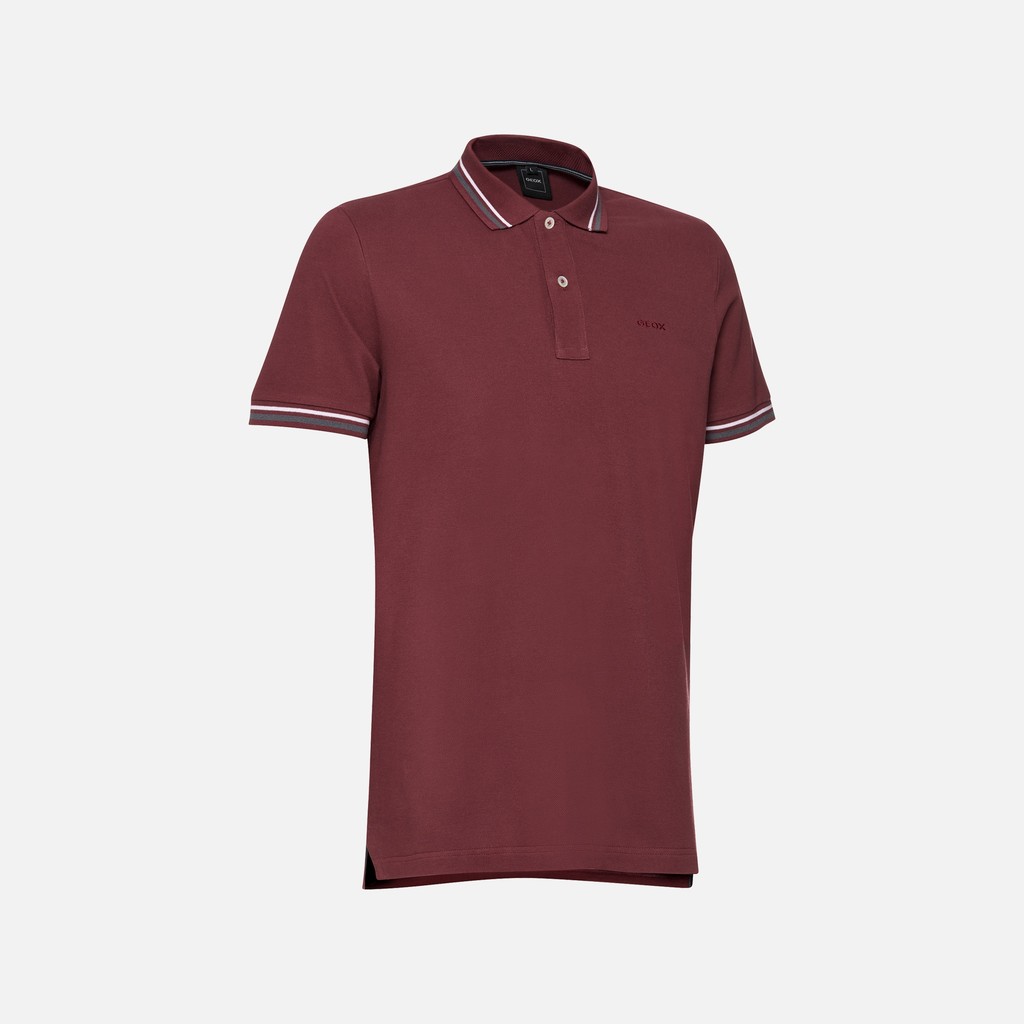 Polo shirt POLO MAN Cordovan - image number 4 | GEOX