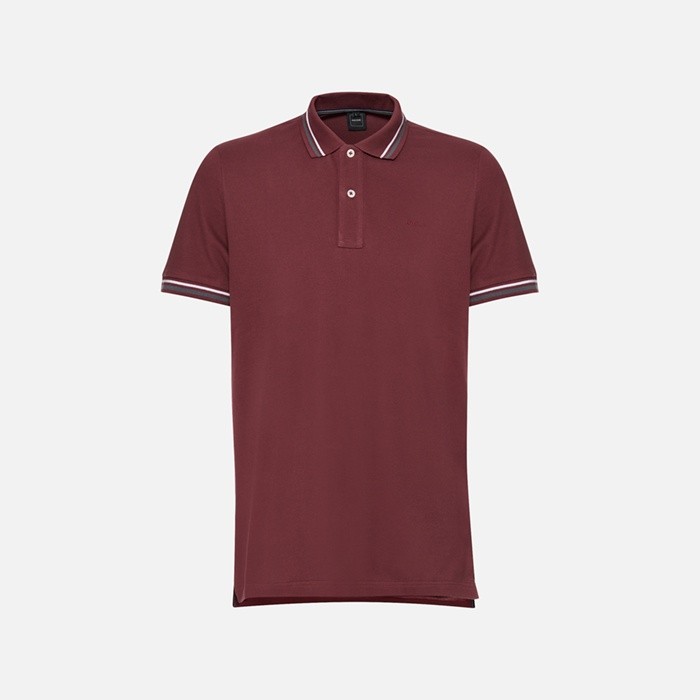 Polo shirt POLO MAN Cordovan | GEOX