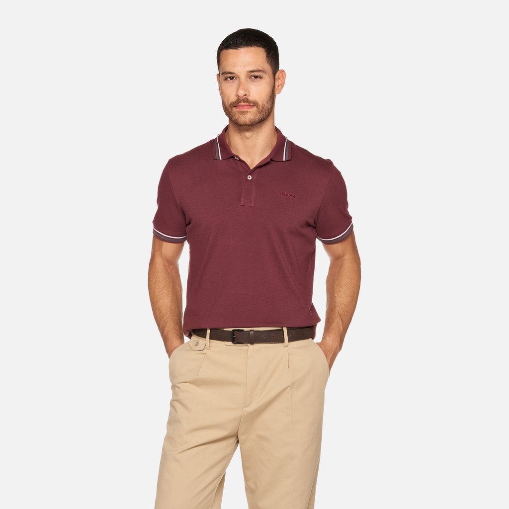 Polo shirt POLO MAN Cordovan - image number 0 | GEOX