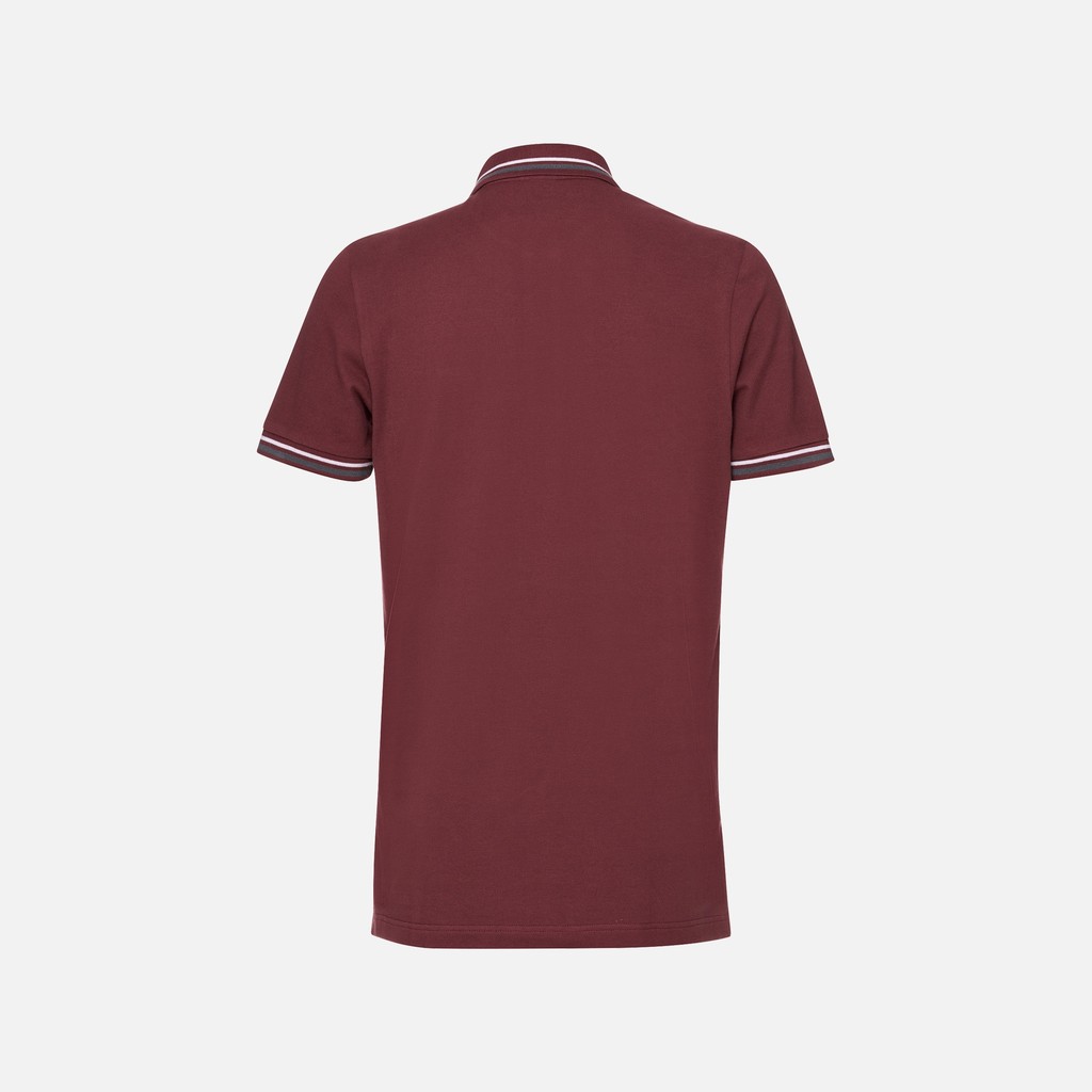 Polo shirt POLO MAN Cordovan - image number 5 | GEOX