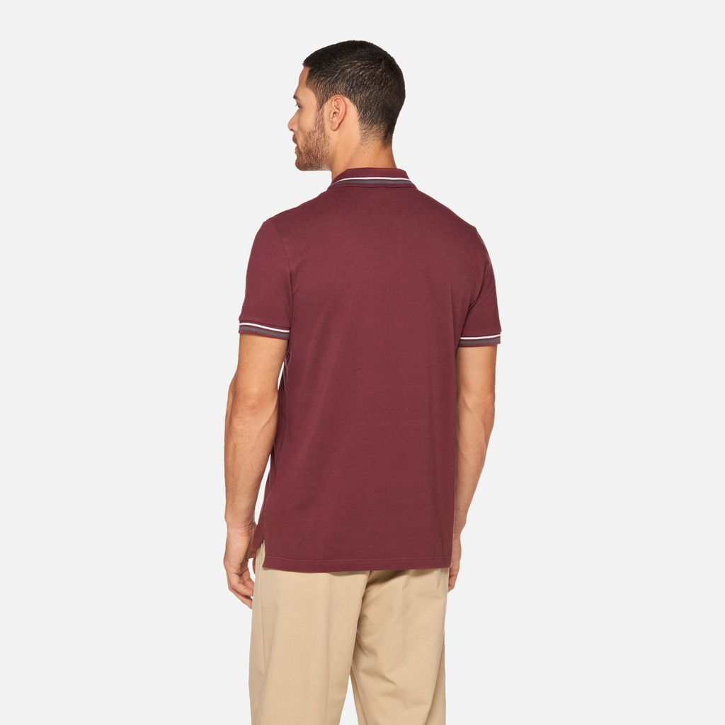 Polo shirt POLO MAN Cordovan - image number 2 | GEOX