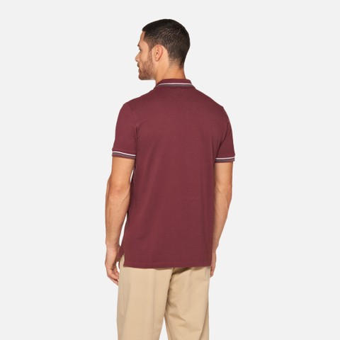 Polo shirt POLO MAN Cordovan - image number 2 | GEOX