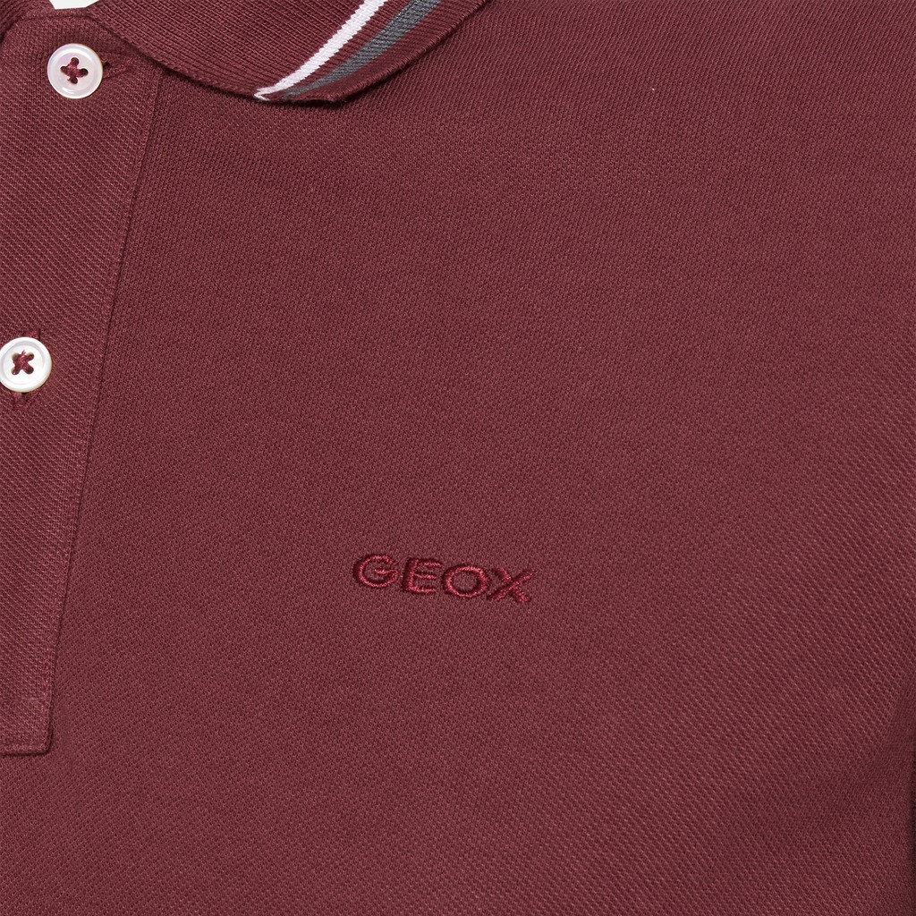 Polo shirt POLO MAN Cordovan - image number 7 | GEOX