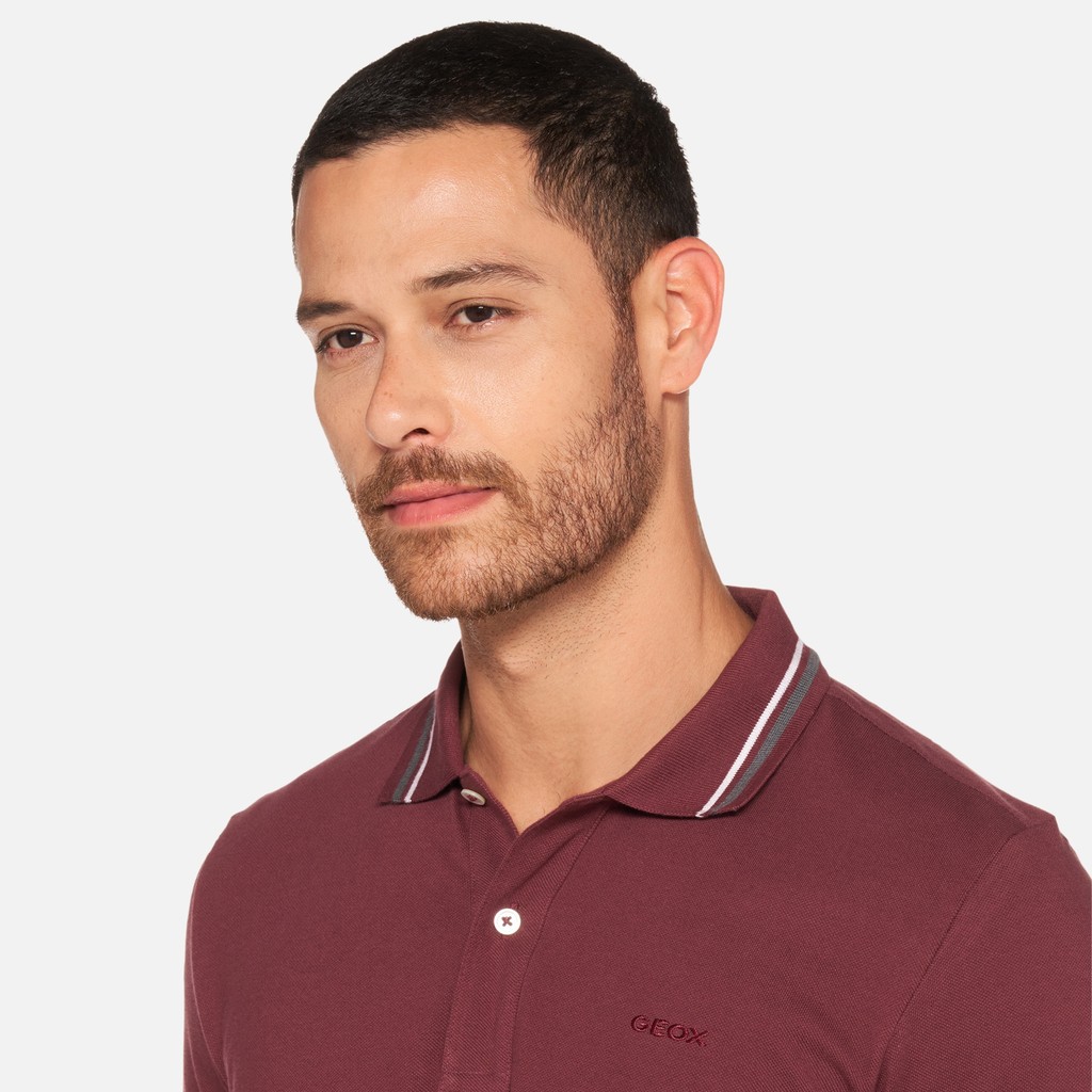 Polo shirt POLO MAN Cordovan - image number 3 | GEOX