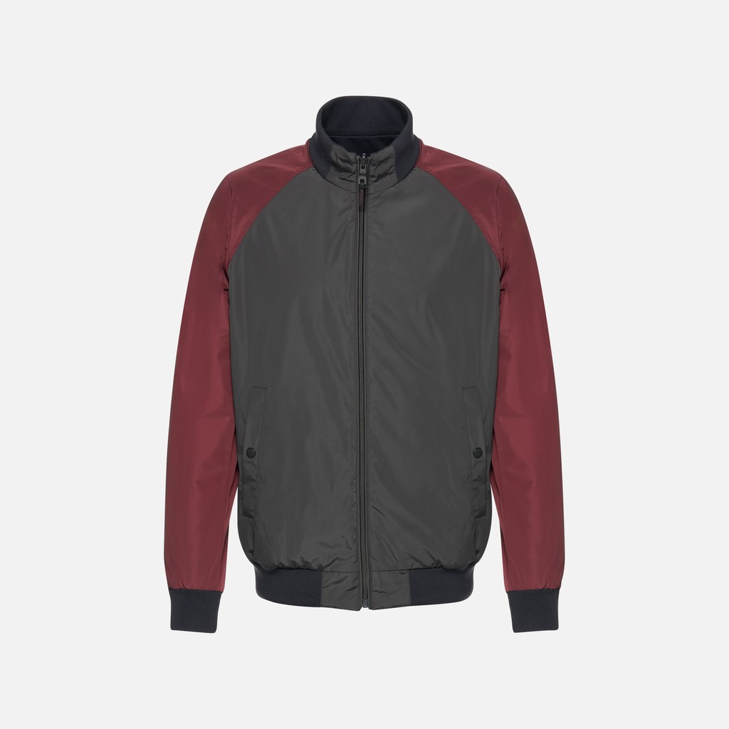 Bomber jacket SNAKE 2.0 MAN Periscope/Cordovan/Sky Captain - image number 3 | GEOX