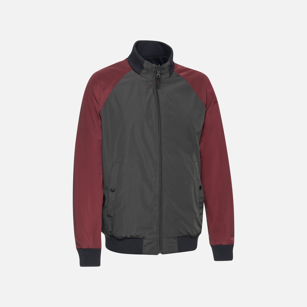 Bomber jacket SNAKE 2.0 MAN Periscope/Cordovan/Sky Captain - image number 4 | GEOX