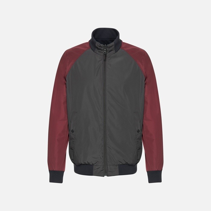 Bomber jacket SNAKE 2.0 MAN Periscope/Cordovan/Sky Captain | GEOX