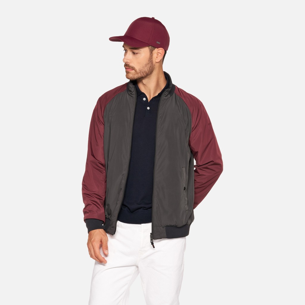 Bomber jacket SNAKE 2.0 MAN Periscope/Cordovan/Sky Captain - image number 0 | GEOX