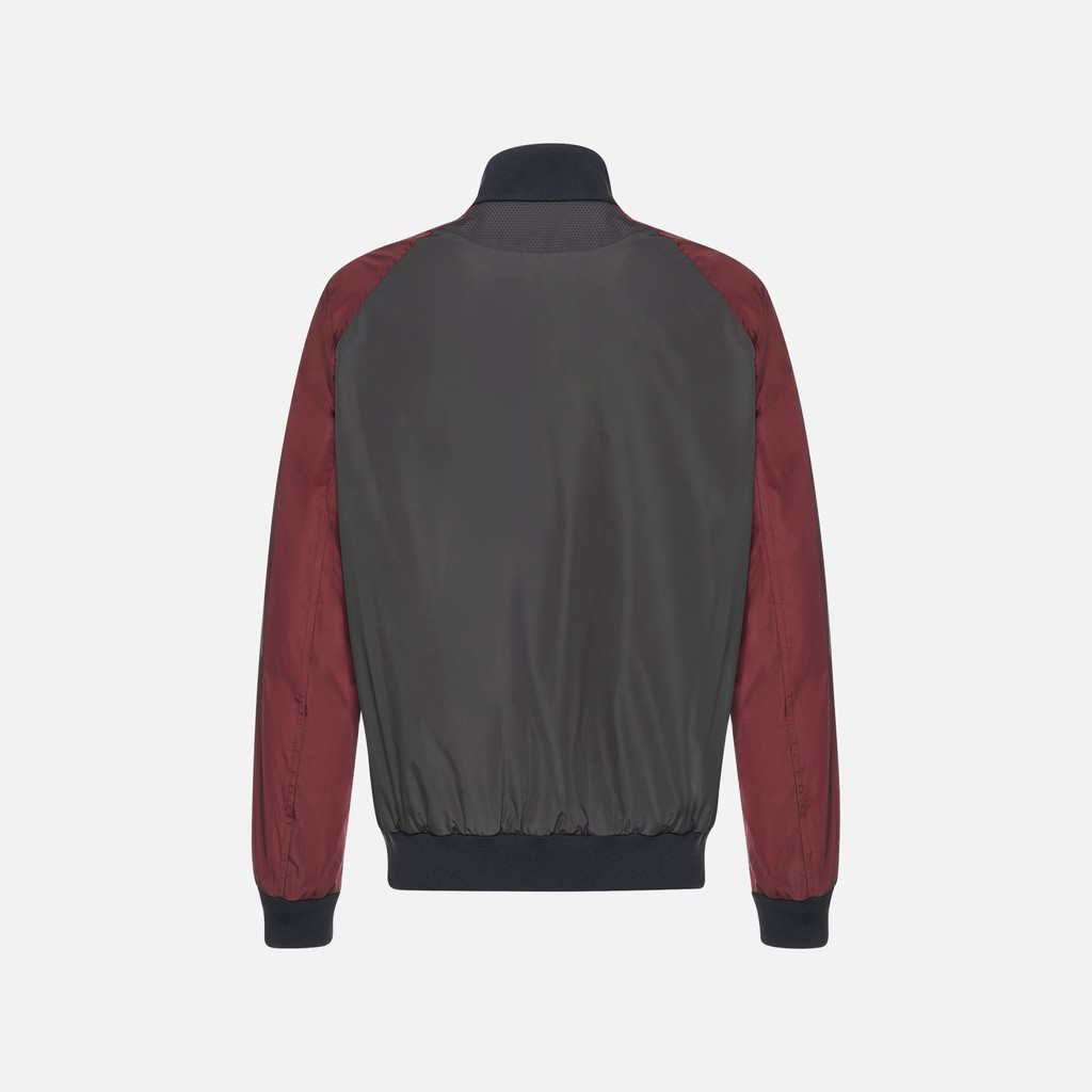 Bomber jacket SNAKE 2.0 MAN Periscope/Cordovan/Sky Captain - image number 5 | GEOX