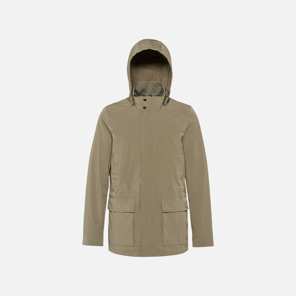Vêtements Damon Homme Brun Vert