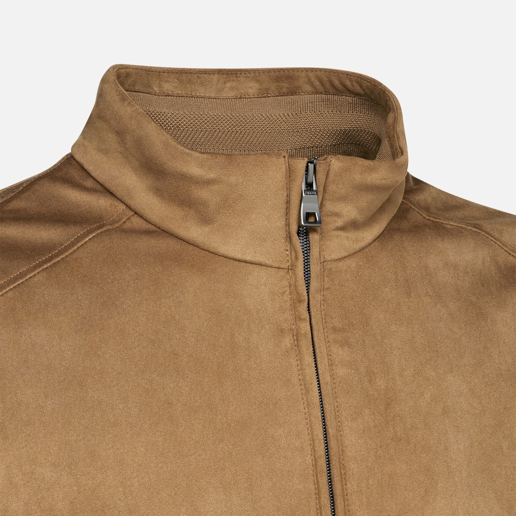 Bomber jacket BLAINEY MAN Dark Tannin - image number 6 | GEOX