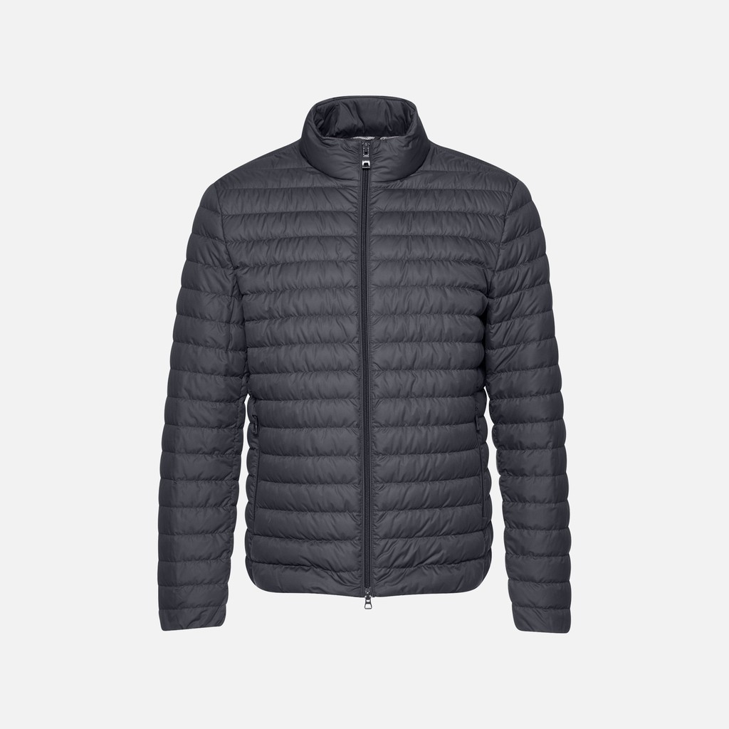 Vêtements Warrens Homme Bleu Nuit