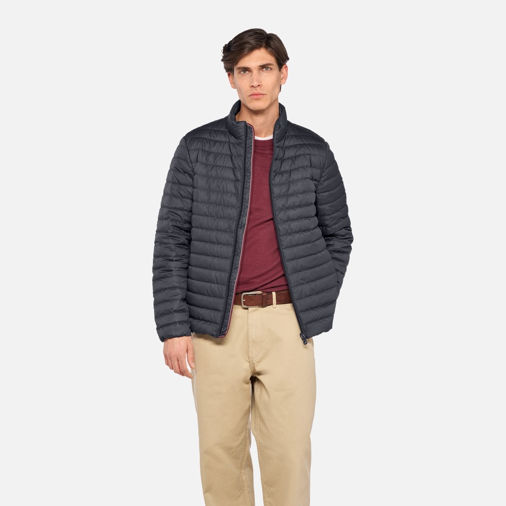 Doudoune courte WARRENS HOMME Bleu nuit - image number 0 | GEOX