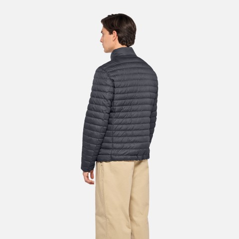 Doudoune courte WARRENS HOMME Bleu nuit - image number 2 | GEOX