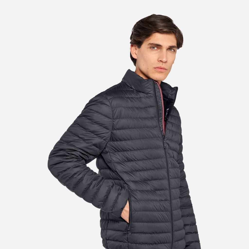 Doudoune courte WARRENS HOMME Bleu nuit - image number 3 | GEOX