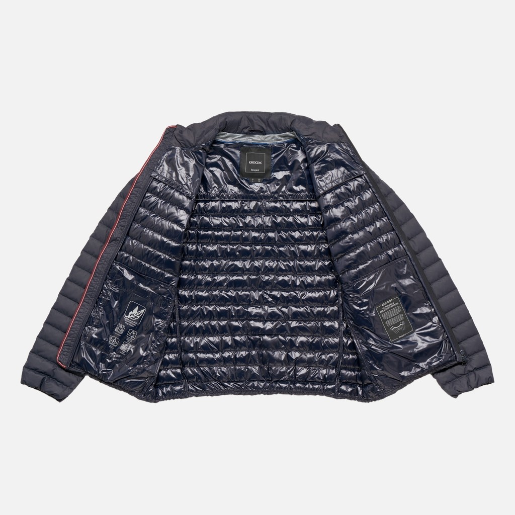 Short down jacket WARRENS MAN Sky captain - image number 5 | GEOX