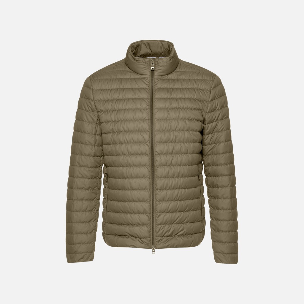 Vêtements Warrens Homme Kaki