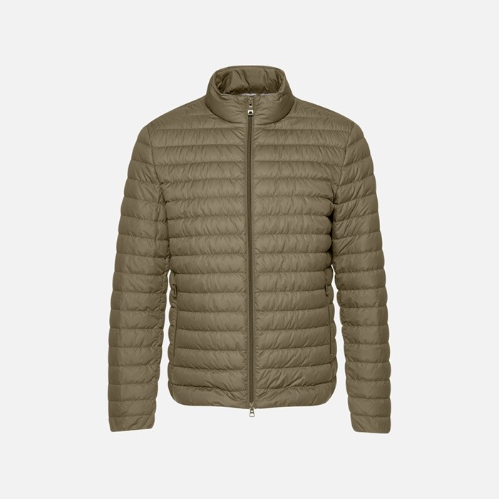 Short down jacket WARRENS MAN Covert green | GEOX