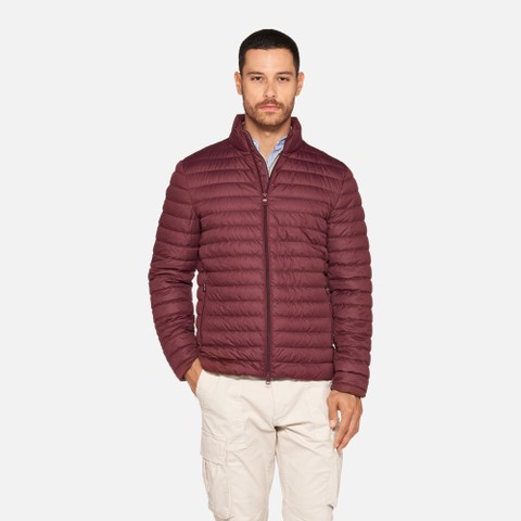 Short down jacket WARRENS MAN Cordovan - image number 1 | GEOX