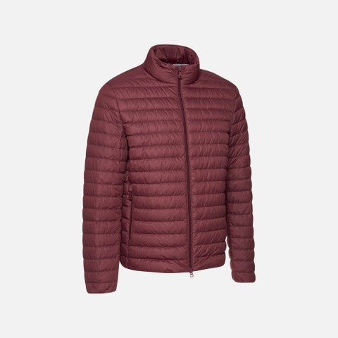 Short down jacket WARRENS MAN Cordovan - image number 4 | GEOX