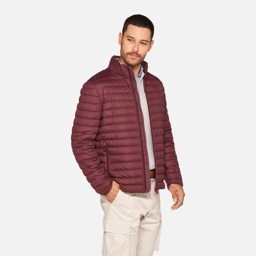 Short down jacket WARRENS MAN Cordovan - image number 0 | GEOX