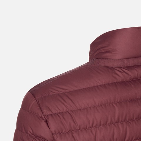 Short down jacket WARRENS MAN Cordovan - image number 6 | GEOX