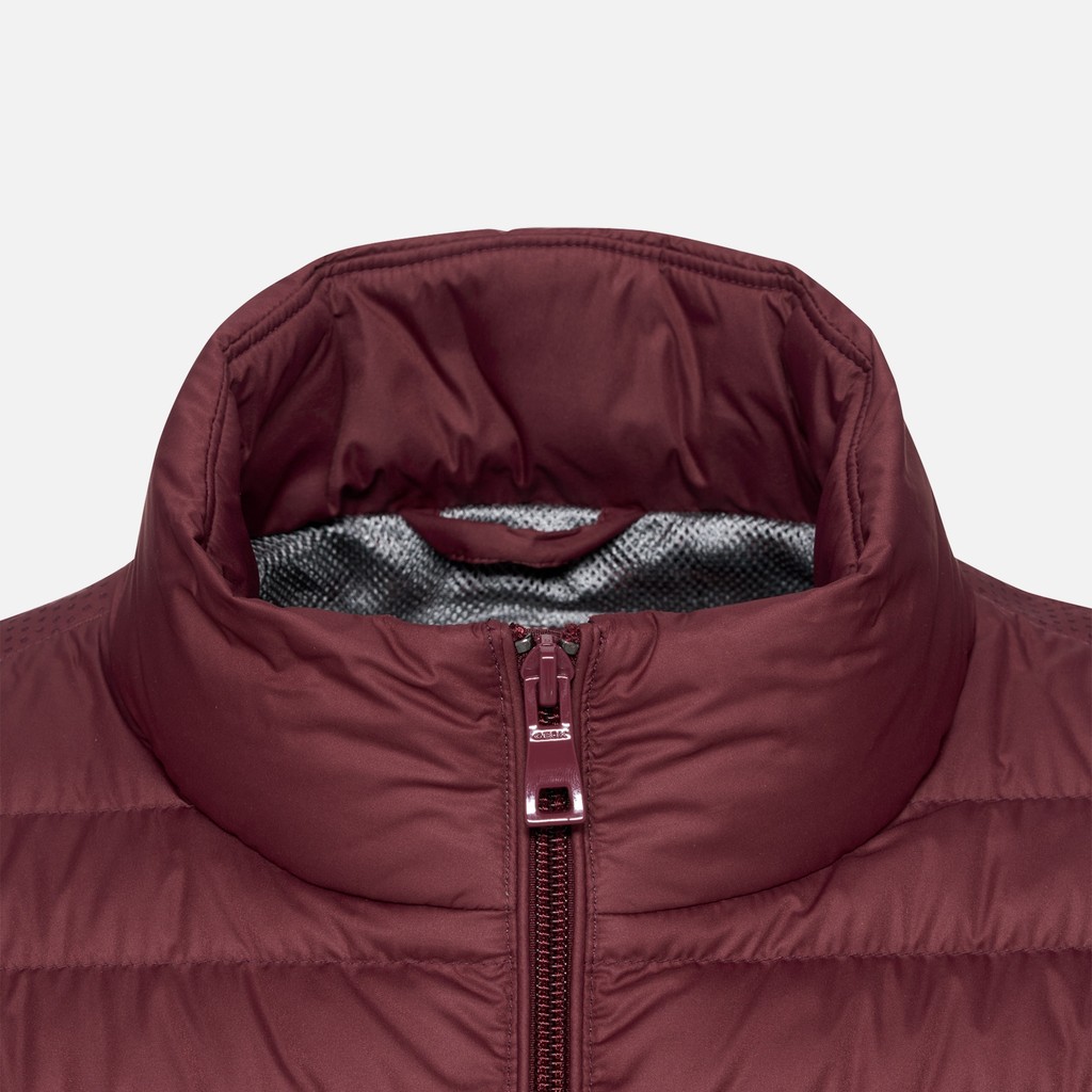 Short down jacket WARRENS MAN Cordovan - image number 7 | GEOX