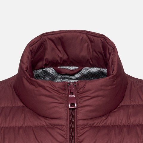 Short down jacket WARRENS MAN Cordovan - image number 7 | GEOX