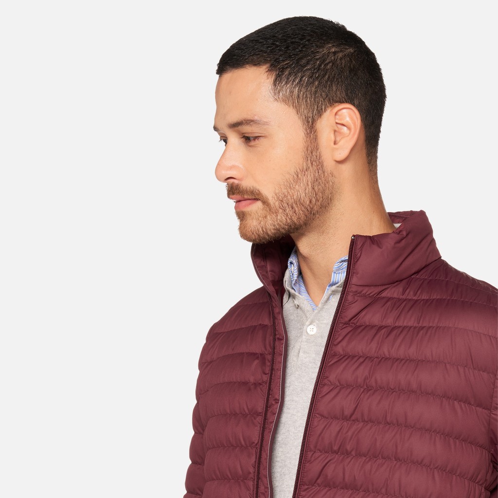 Doudoune courte WARRENS HOMME Bordeaux - image number 3 | GEOX