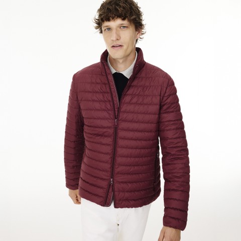 Short down jacket WARRENS MAN Cordovan - image number 8 | GEOX